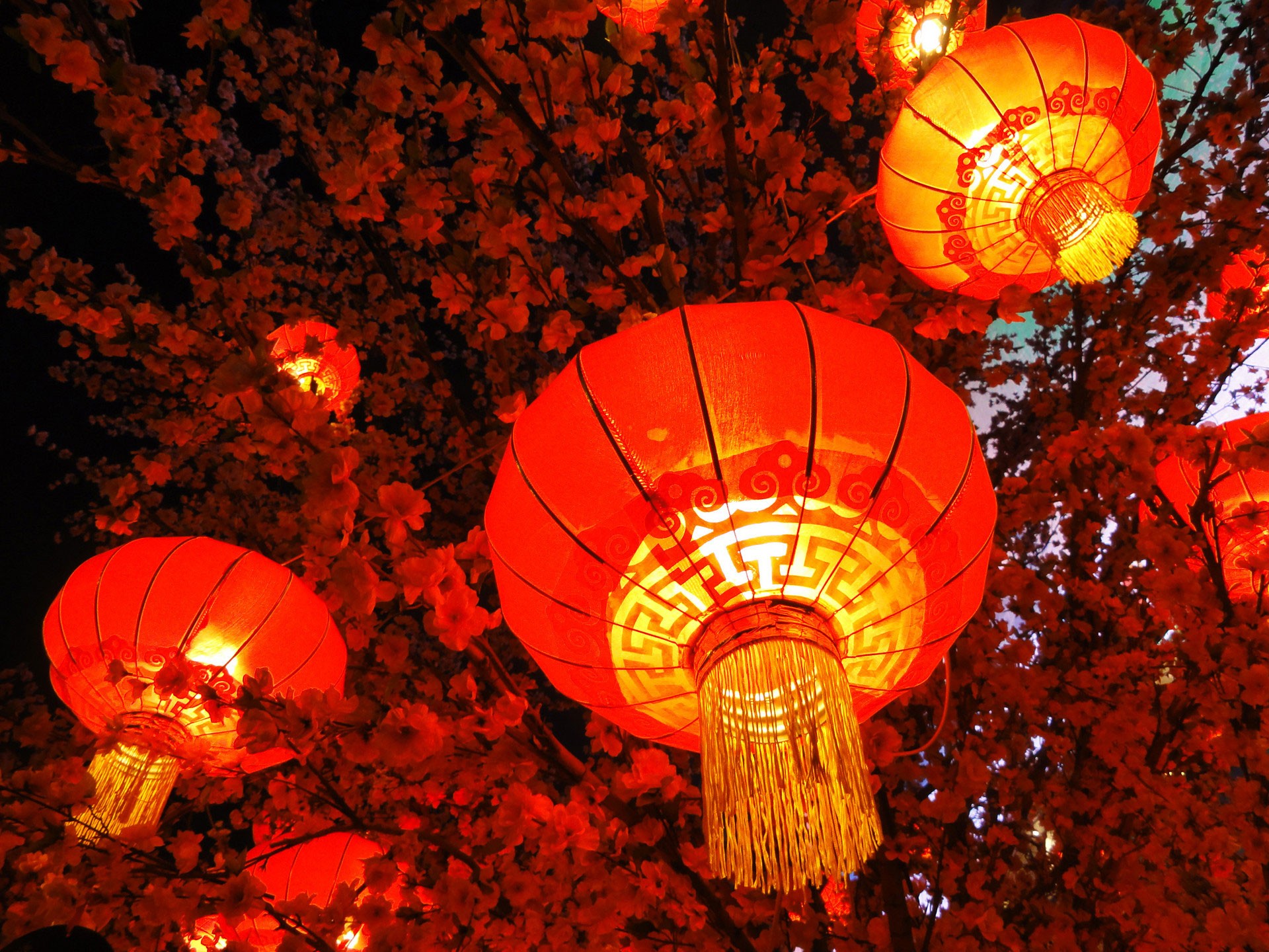 秦開電氣設(shè)備恭祝全國人民新年快樂！